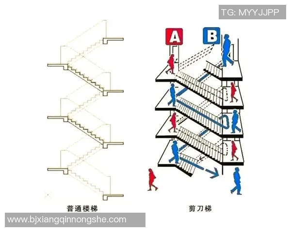 足球的尺寸与比赛规则之间的关系探讨及其对比赛的影响分析